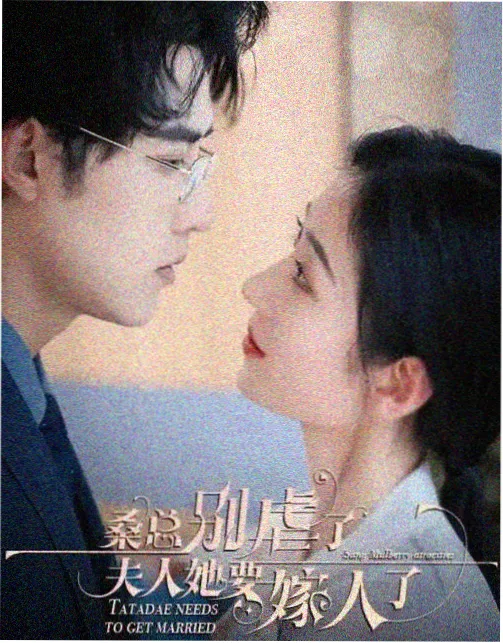 双城税吏 剧集在线观看